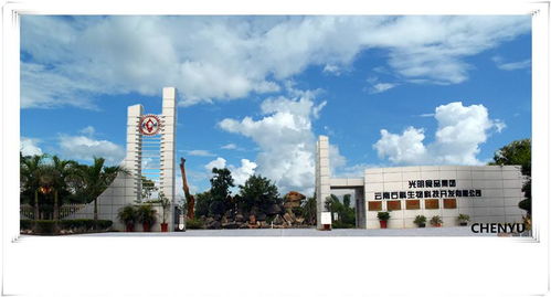 光明食品集團云南石斛生物科技開發(fā)與生物技術開發(fā)服務