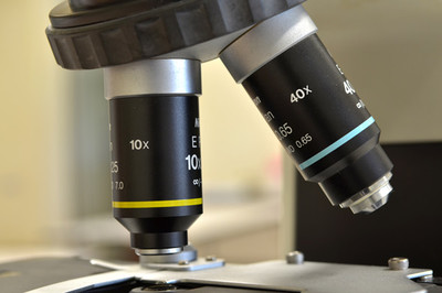 生物經(jīng)濟(jì) 定義、核心特征與生物技術(shù)開發(fā)服務(wù)的驅(qū)動作用